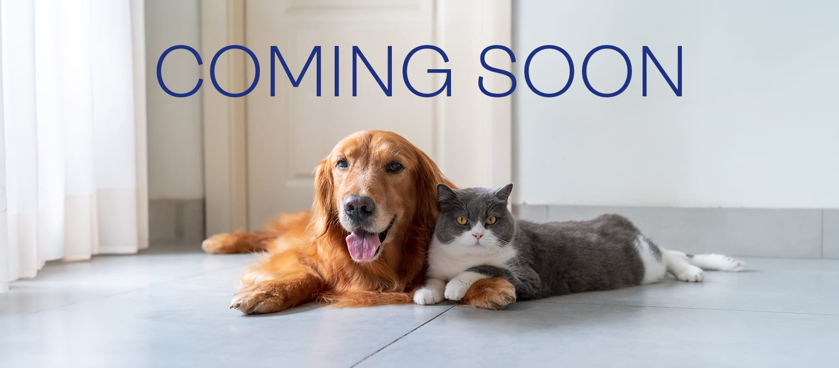 Coming soon” text above a golden retriever and a gray-and-white cat lying together on a tiled floor.