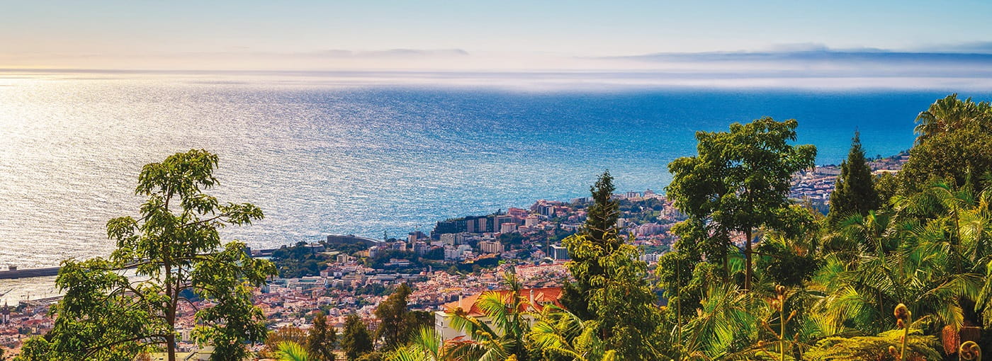 Coastal town view from above with the sea, trees, and buildings under a clear sky