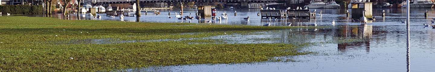 View of Marlow Bridge and flooded Thames river