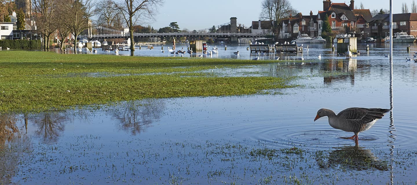 View of Marlow Bridge and flooded Thames river