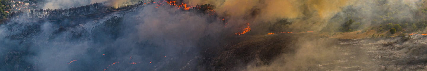 Aerial drone view of wildfire in forest with huge smoke clouds, burning dry trees and grass.