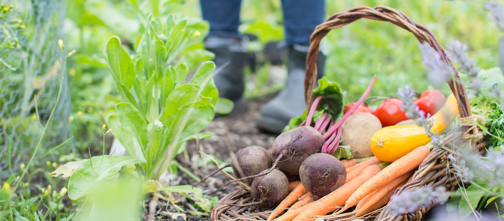 a basket of fresh vegetables with someone standing behind in their wellies
