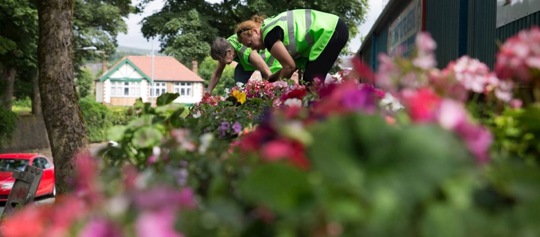 Two people work on a 7ft-high floral bank, dubbed the ‘Wonderwall’, in Rochdale