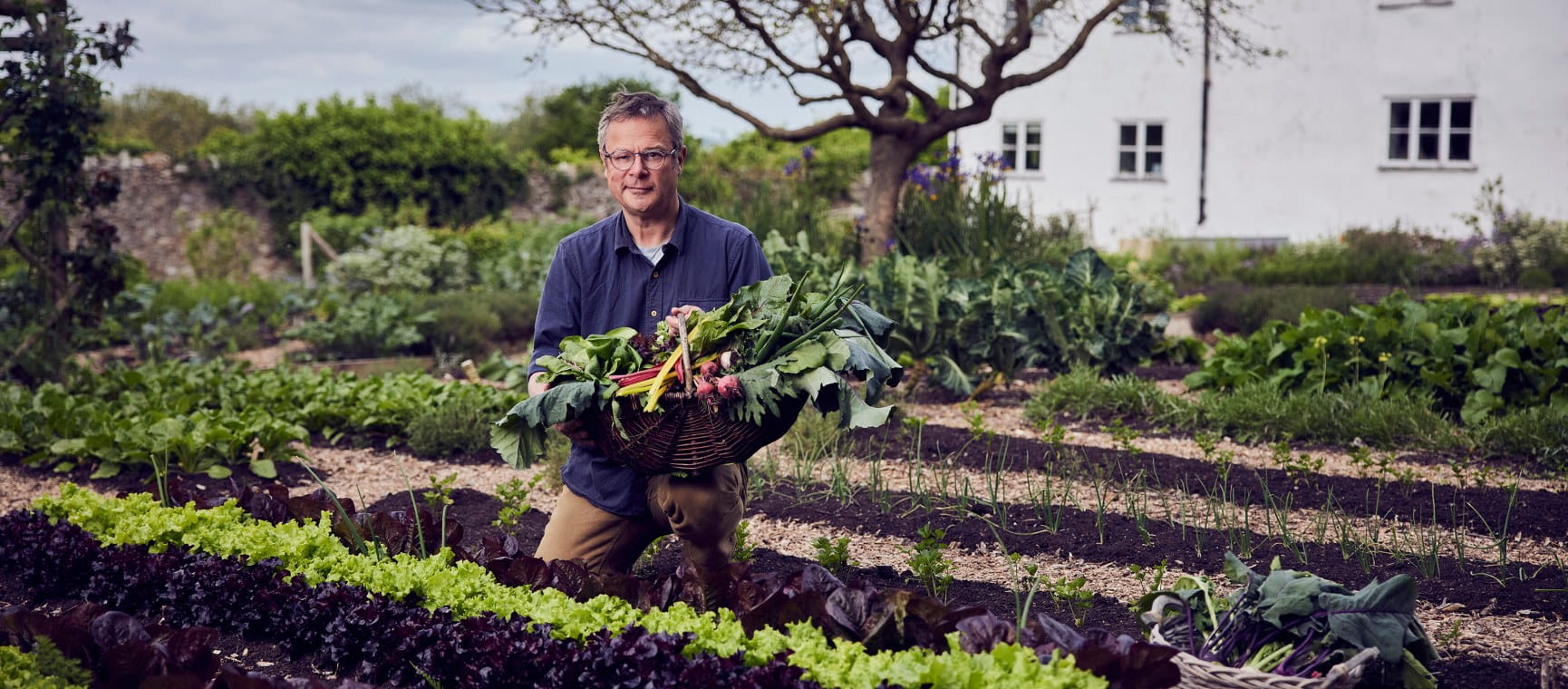 Chef Hugh Fearnley-Whittingstall in an allotment garden with a basket of freshly picked vegetables