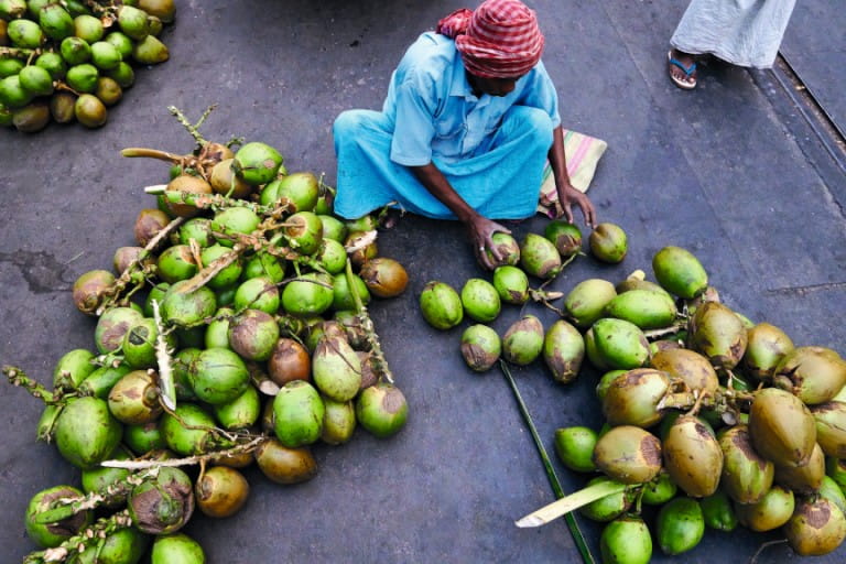 Coconuts in Kolkata | Penguin Random House