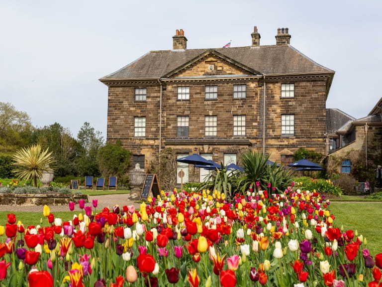 A blooming bed of bright red, orange and yellow tulips in front of the house at National Trust Ormesby Hall, North Yorkshire