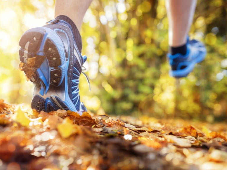 Blue trail running shoes on fallen autumn leaves