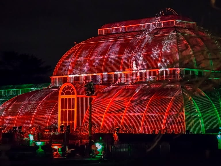 Kew Gardens lit up in festive lights for Christmas