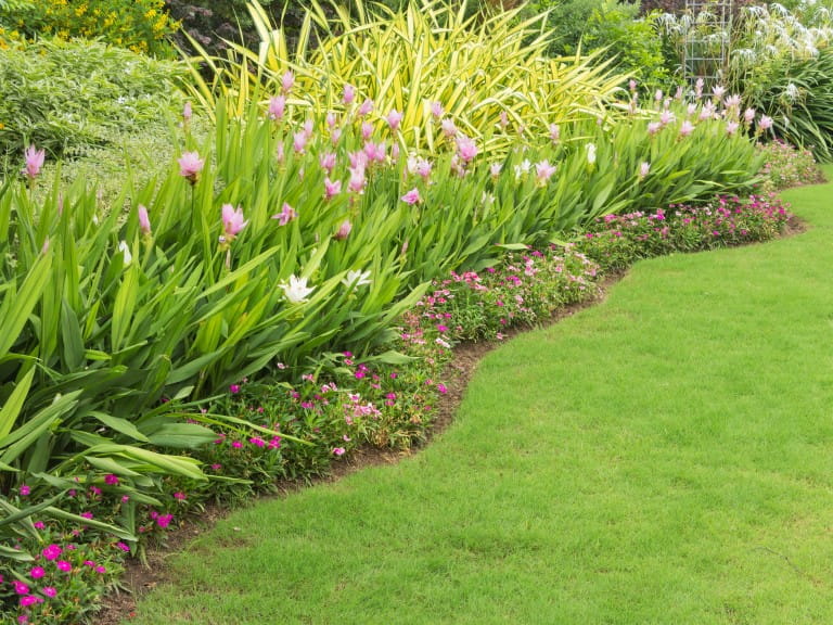 A deep garden border full of flowers