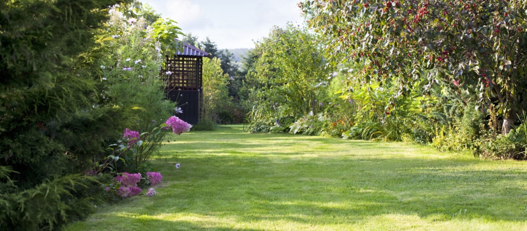 A long garden flanked by bushes and flowers