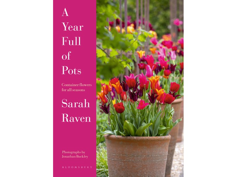A YEAR FULL OF POTS  by Sarah Raven