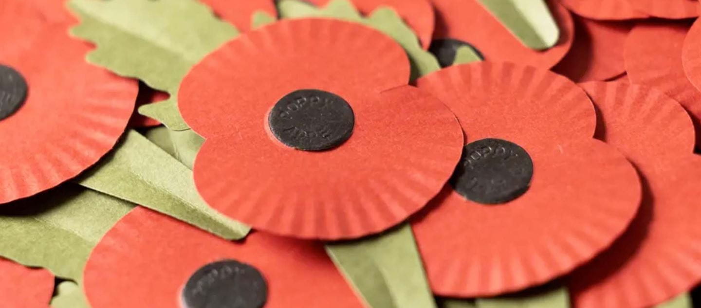 Remembrance Day: the history of the poppy