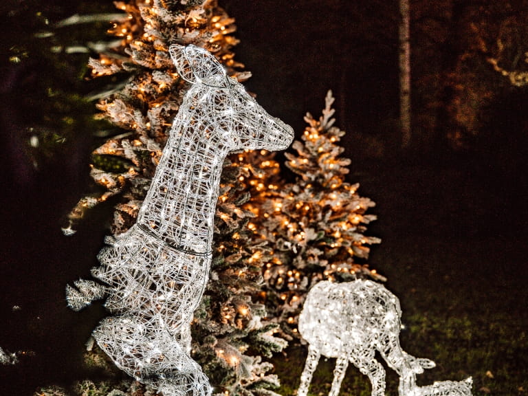 Christmas light display at Trentham Gardens featuring lit-up reindeer and Christmas trees