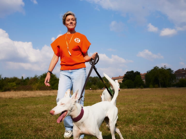 A woman walking her dog through a field in jeans and a bright top on a sunny day