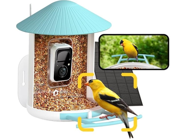 Netvue Bird Feeder