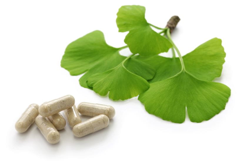 Gingko Biloba