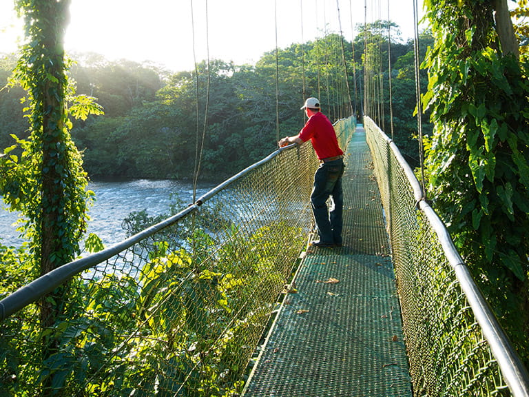 Person walking a canopy in Costa Rica