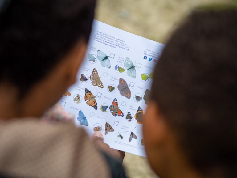 A family looking at a leaflet of different types of butterflies |  Butterfly Conservation