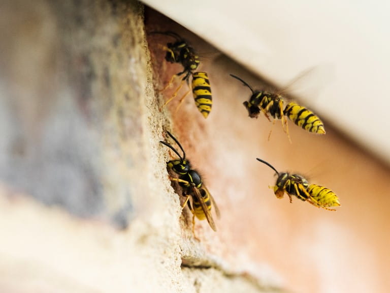 A pretty balcony with comfy chairs and coffee table