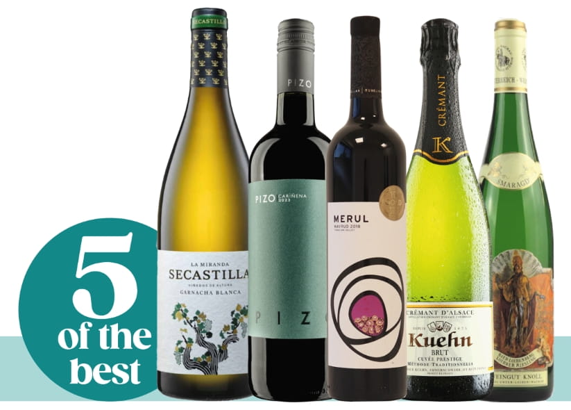 The 5 wine bottles for Holy Week