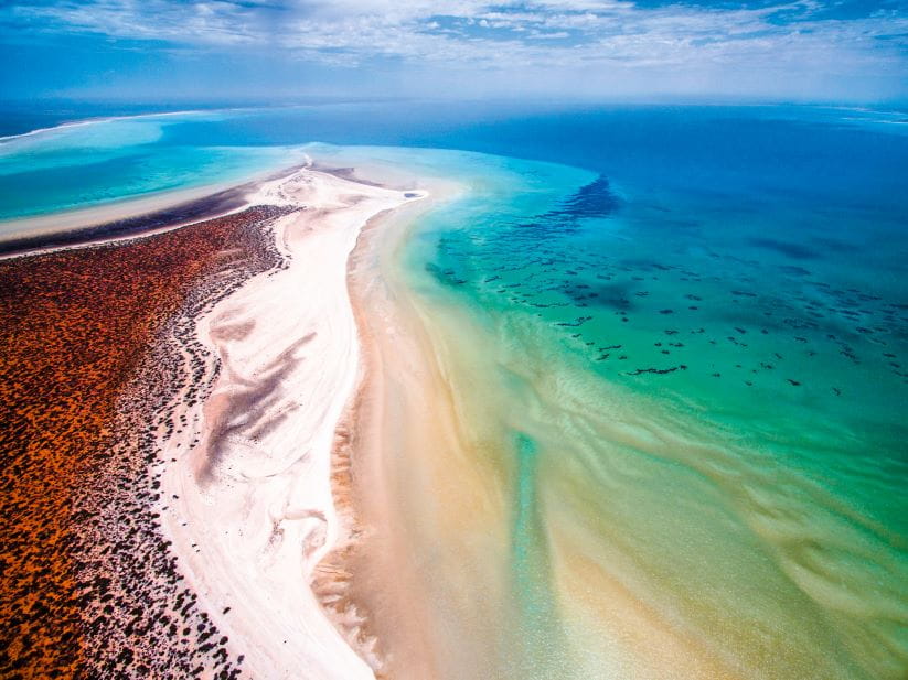 Shark Bay in Western Australia