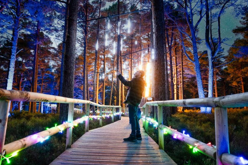 Landmark Forest lit up for Twi-Lights 