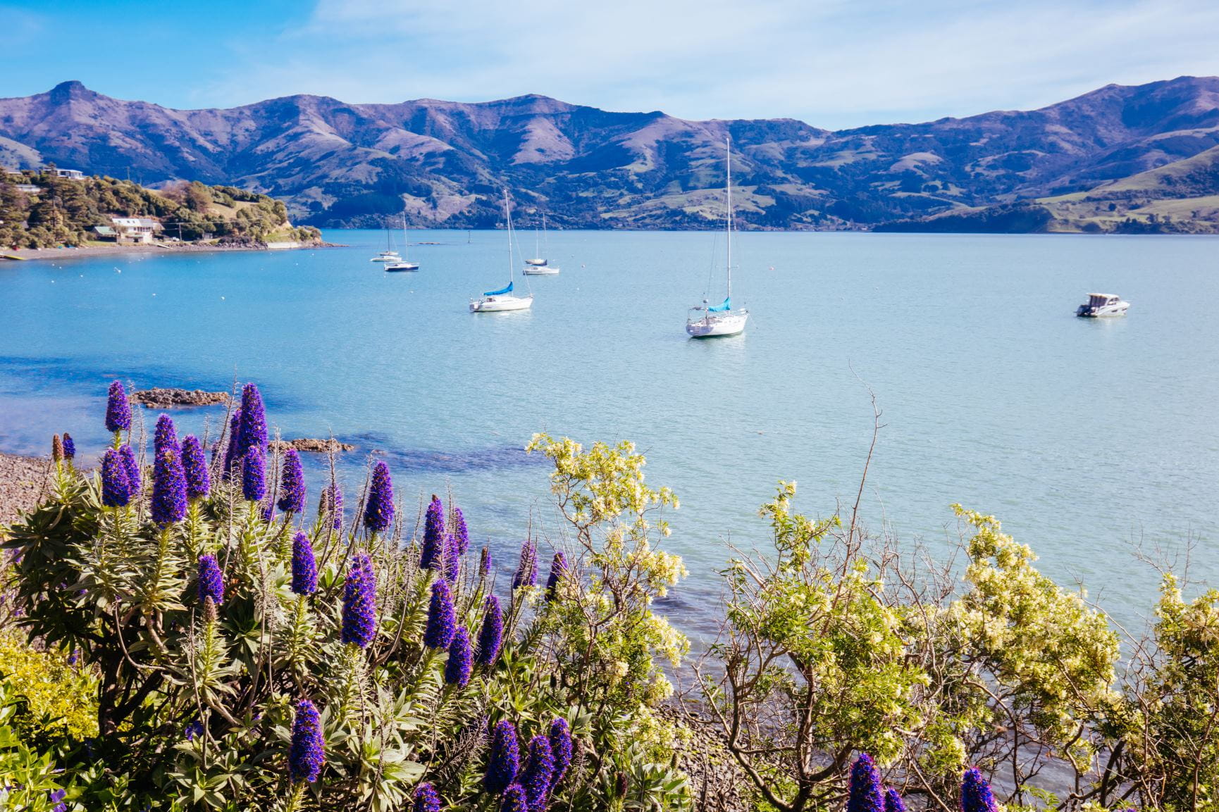 Fisherman's Bay Garden, Akaroa, South Island, New Zealand 