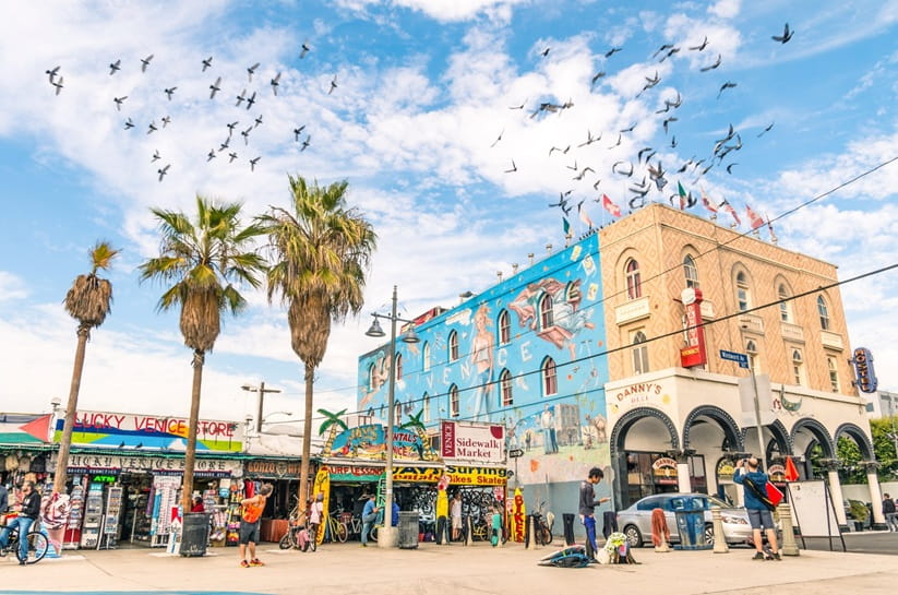 Venice Beach Boardwalk with a blue sky and birds