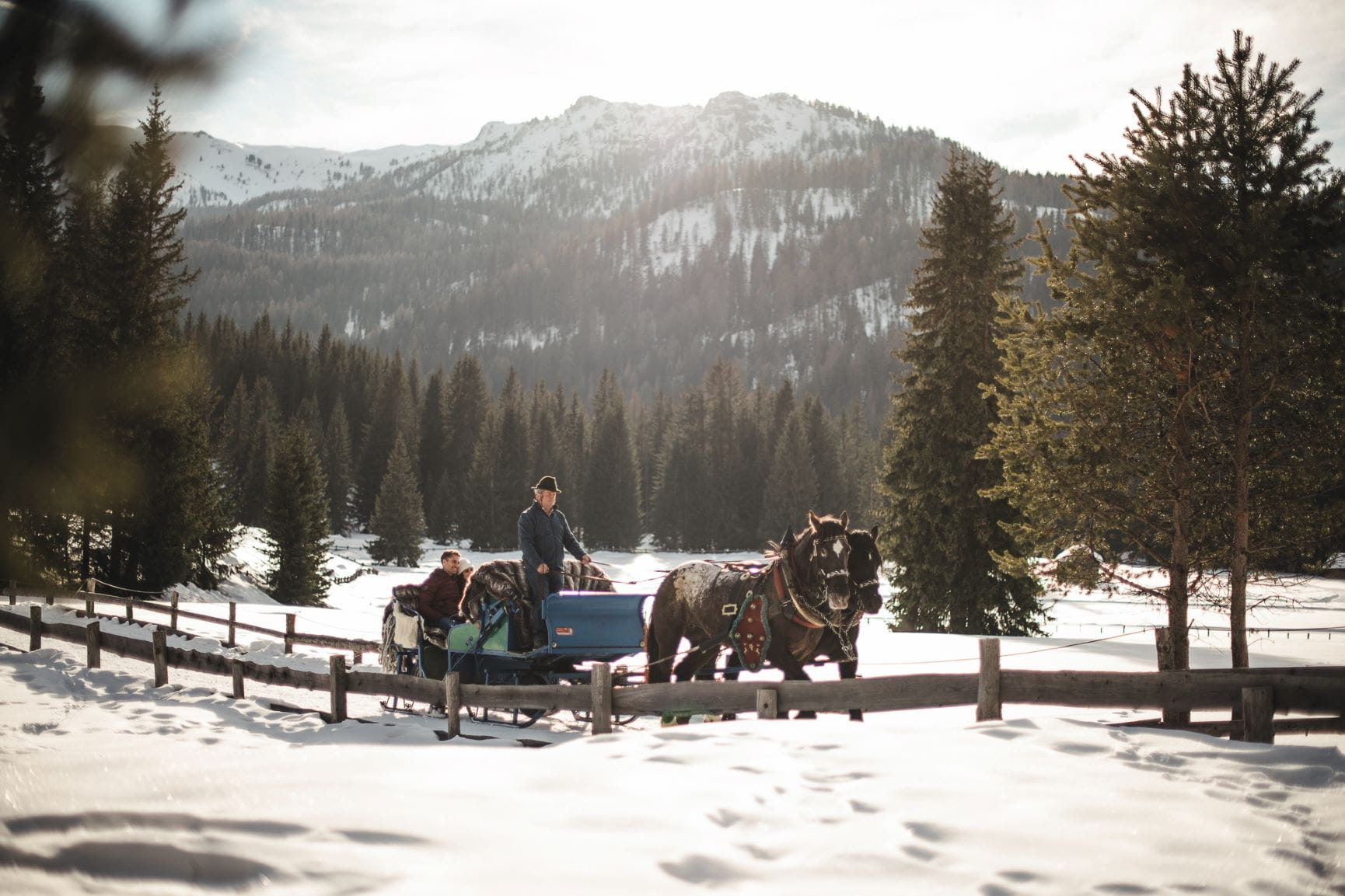 Horse drawn carriage rides in the snow