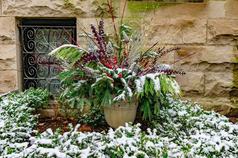 winter pot with snow outside the house