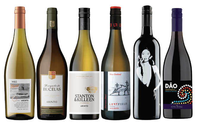 Six bottles of wine which use grapes from hotter climates