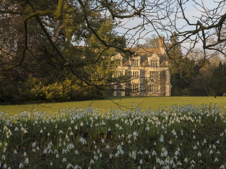 Snowdrops in the foreground with National Trust Anglesey Abbey 