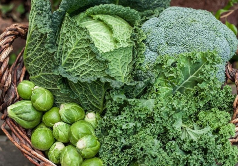 a selection of brassicas in a woven basket