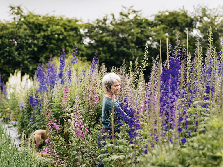 Gardener Rachel Siegfried in her cut garden surrounded by tall blooms
