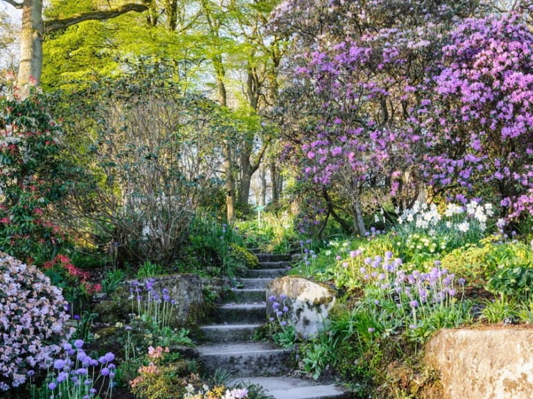 RHS Garden Harlow Carr in Yorkshire