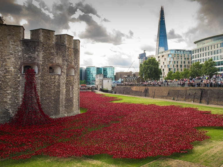Tower of London art installation made up of thousands of poppies