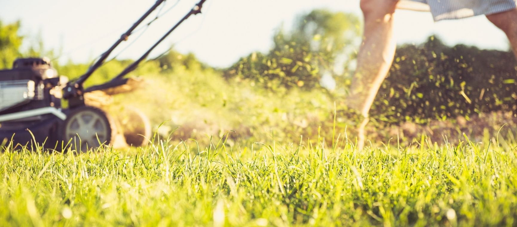 A man mowing the lawn with the cuttings spraying out
