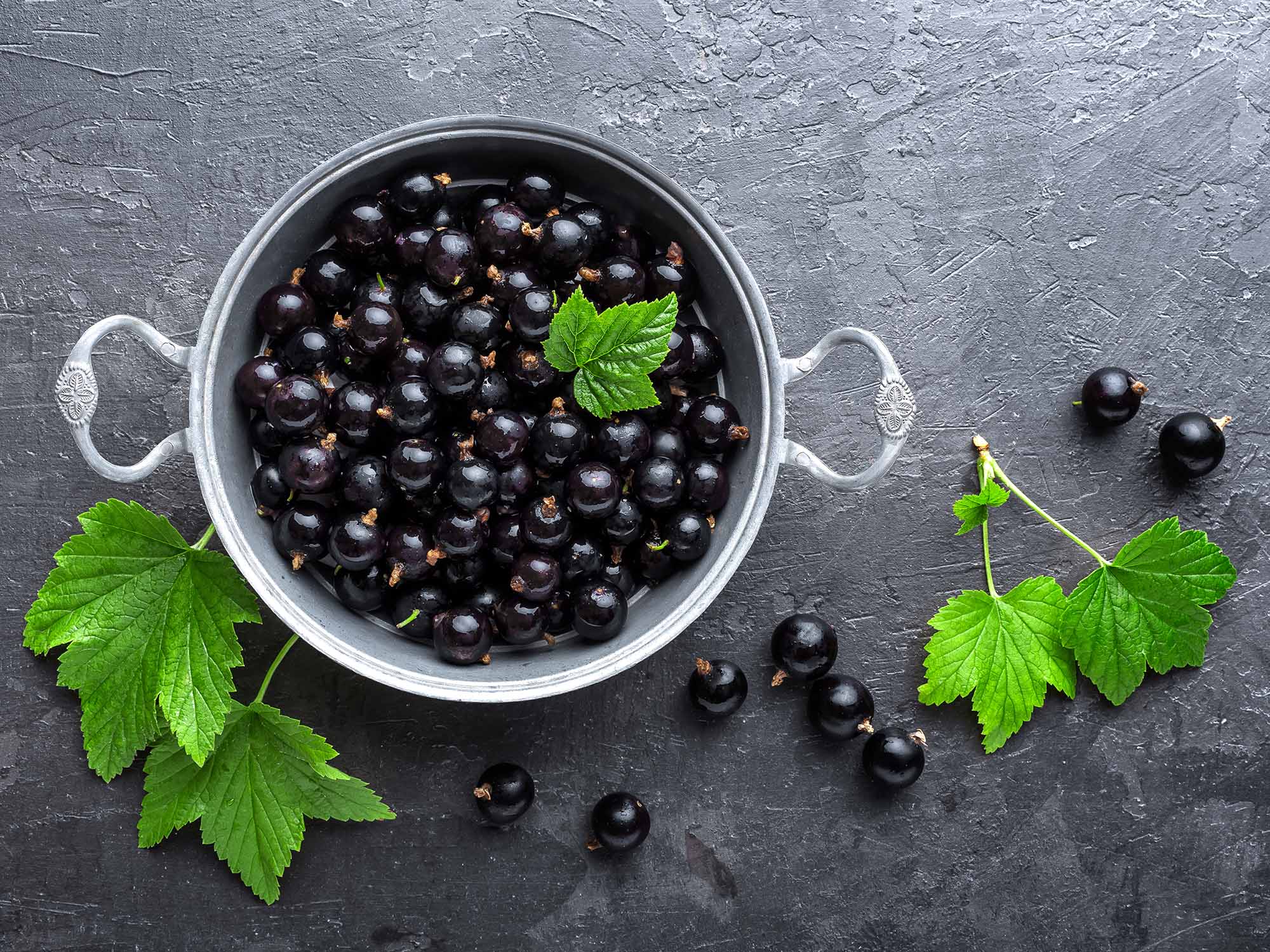 a bowl of blackcurrants