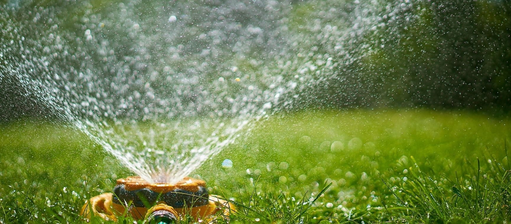 A garden sprinkler on a sunny day
