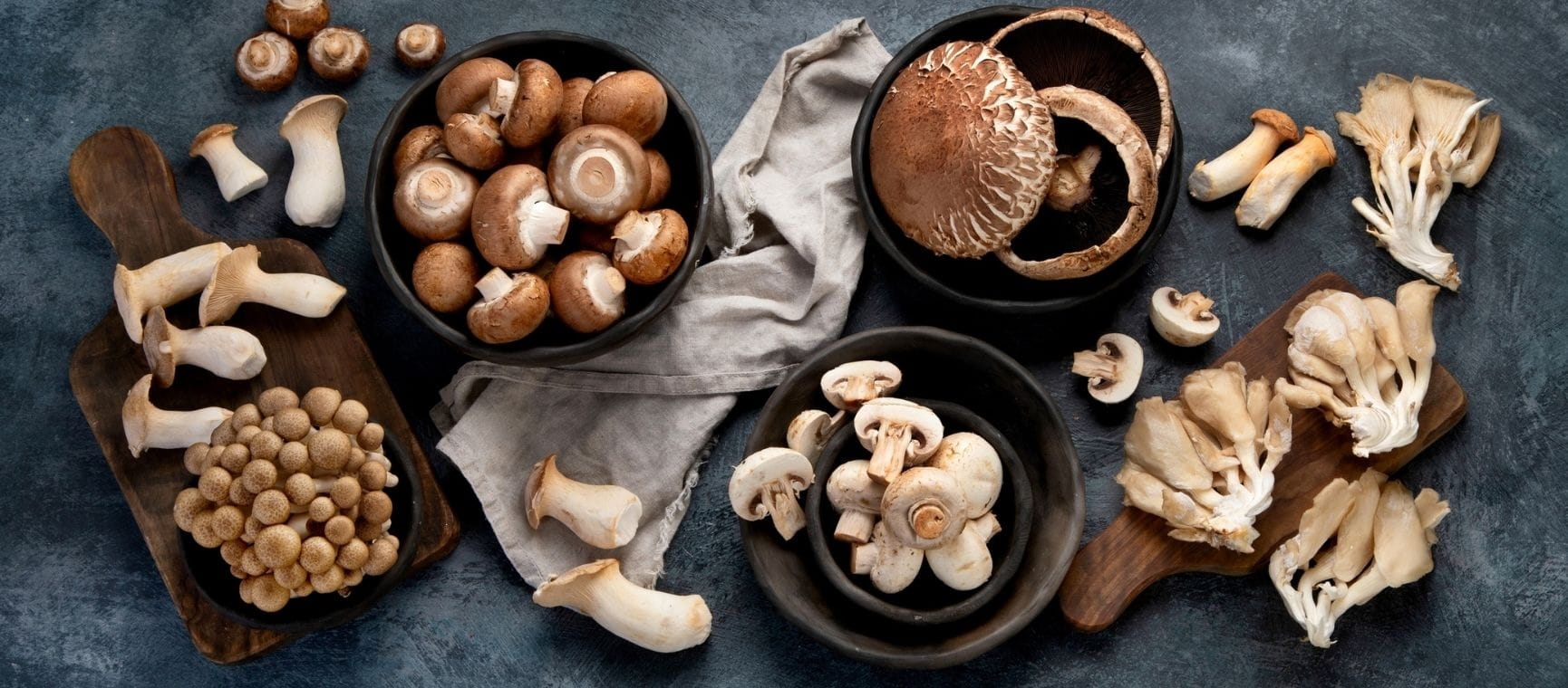 a variety of different types of mushrooms laid out on a surface