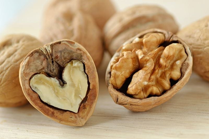 Close up of walnut cracked in half