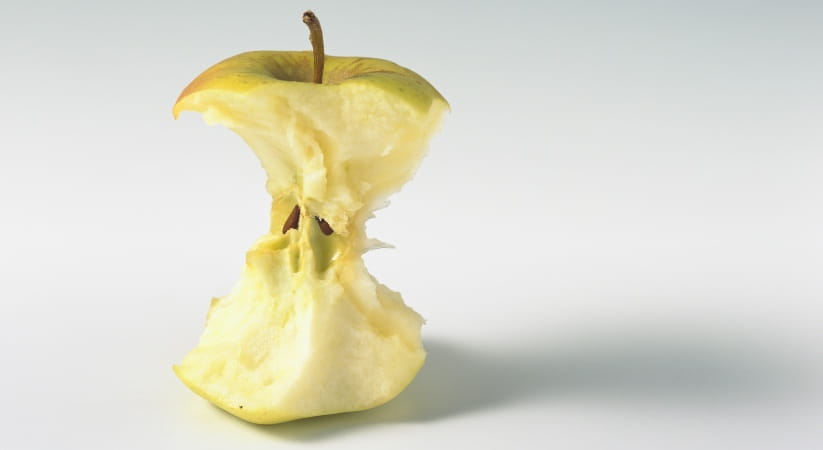 An apple core against a white background