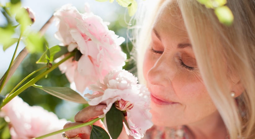 Close up of older woman smelling a pink rose