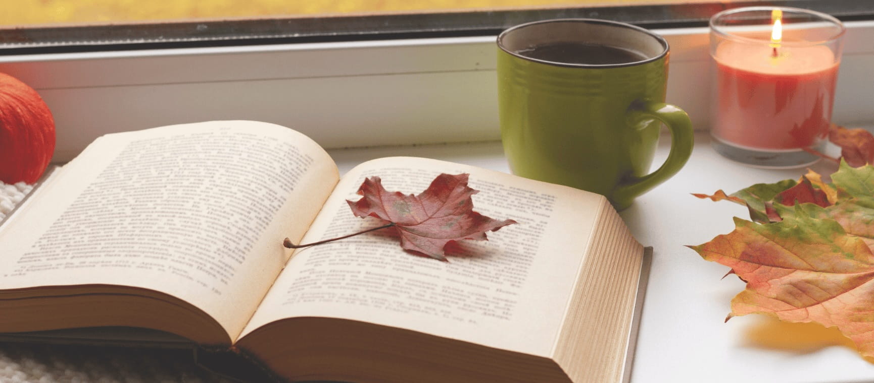 a book open on a windowsill with autumn leaves