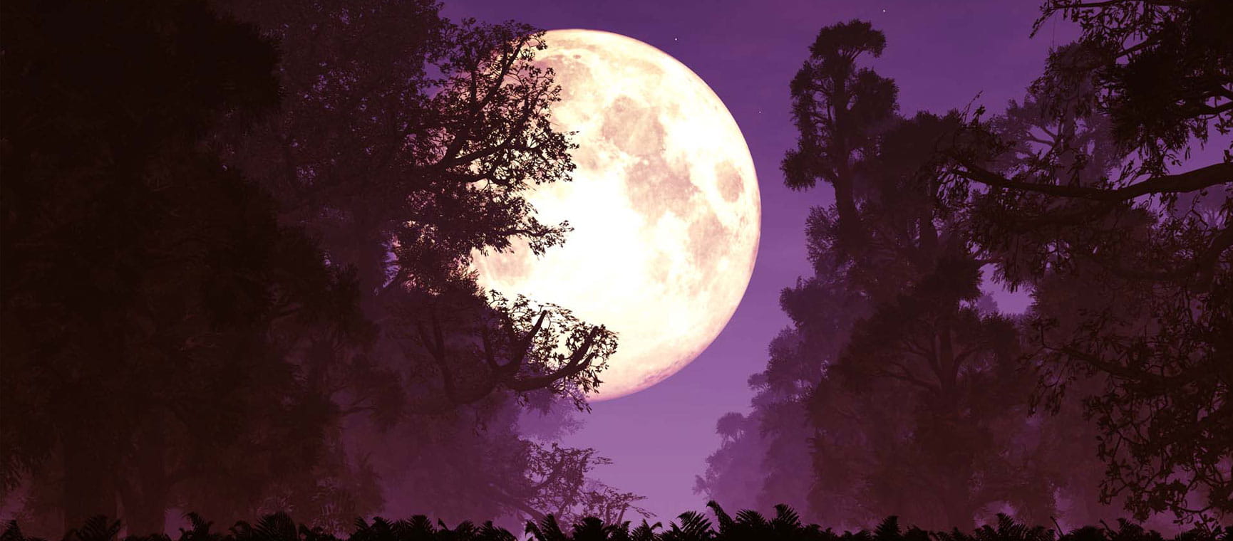 A large supermoon with silhouetted trees and flora in front of it in a purple-tinged sky
