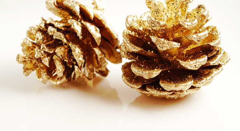Two pine cones sprayed with gold paint against a light coloured background