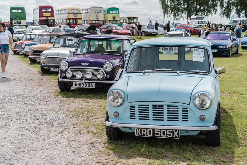A collection of Minis at a car show