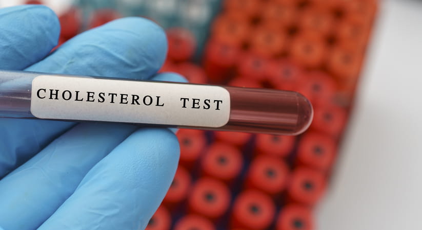 Close up of a blue glove holding a cholesterol test
