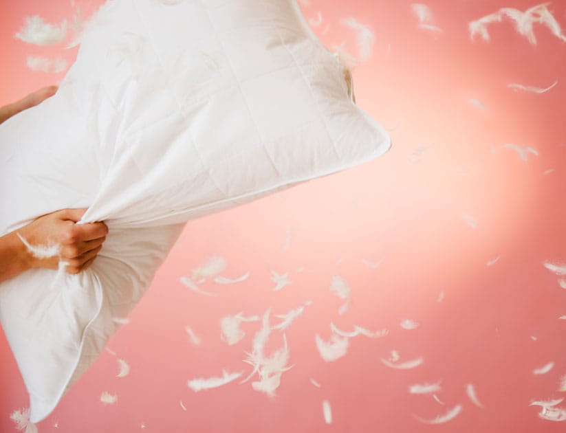 Hands shaking a pillow with feathers flying out of it against a pink background