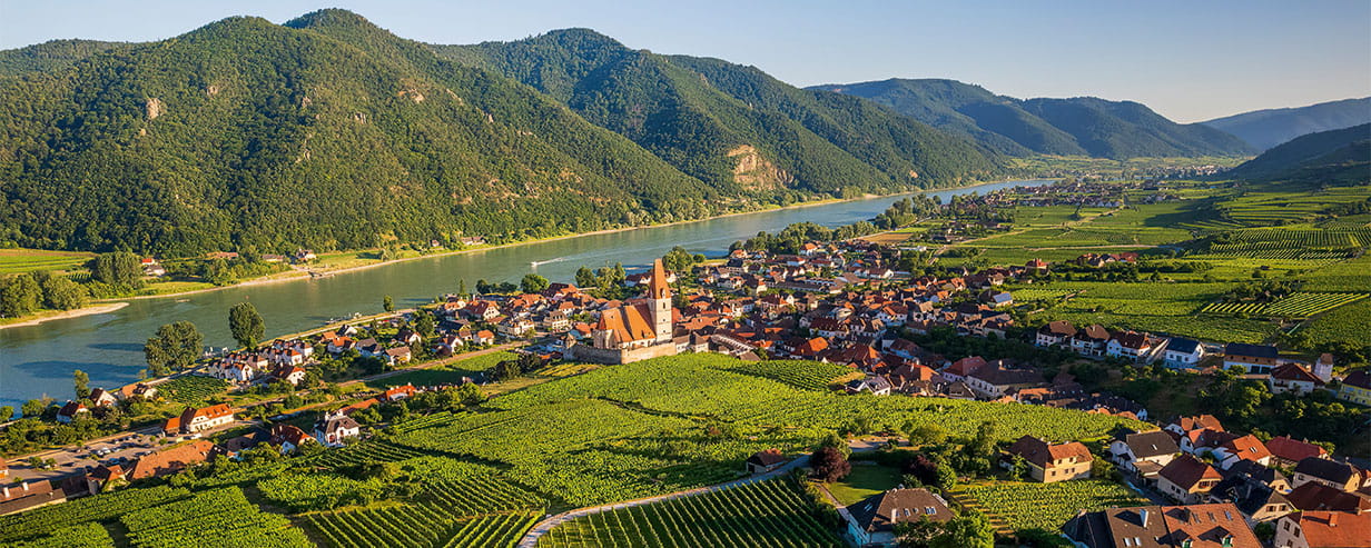 The Austrian countryside and a vineyard